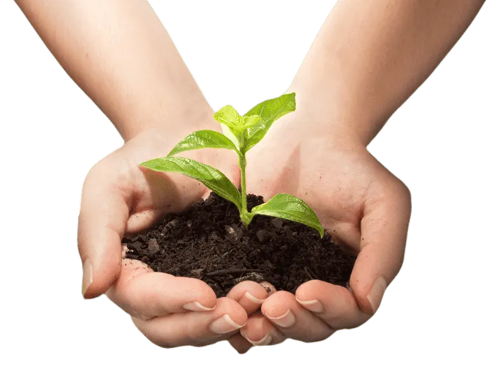 eco