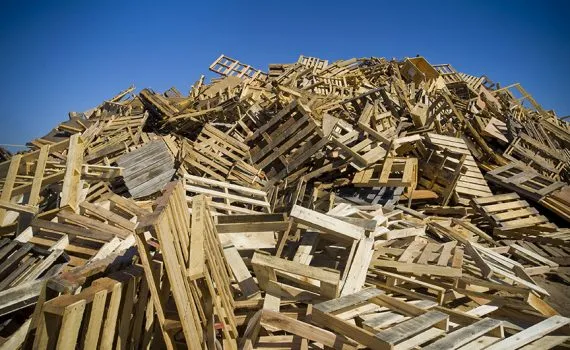 smaltimento de legno